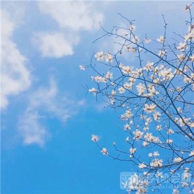 一品逍遥王手游下载